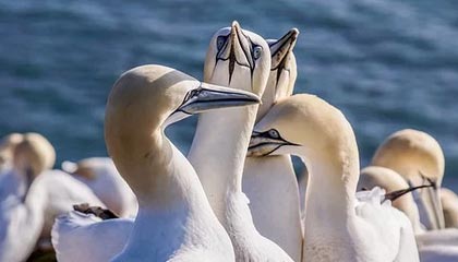 开云电竞-青训基地揭幕：新设施助推联盟未来之星成长，青训中心是干嘛的