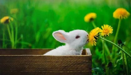 开云电竞-青训基地揭幕：新设施助推联盟未来之星成长，青训中心是干嘛的