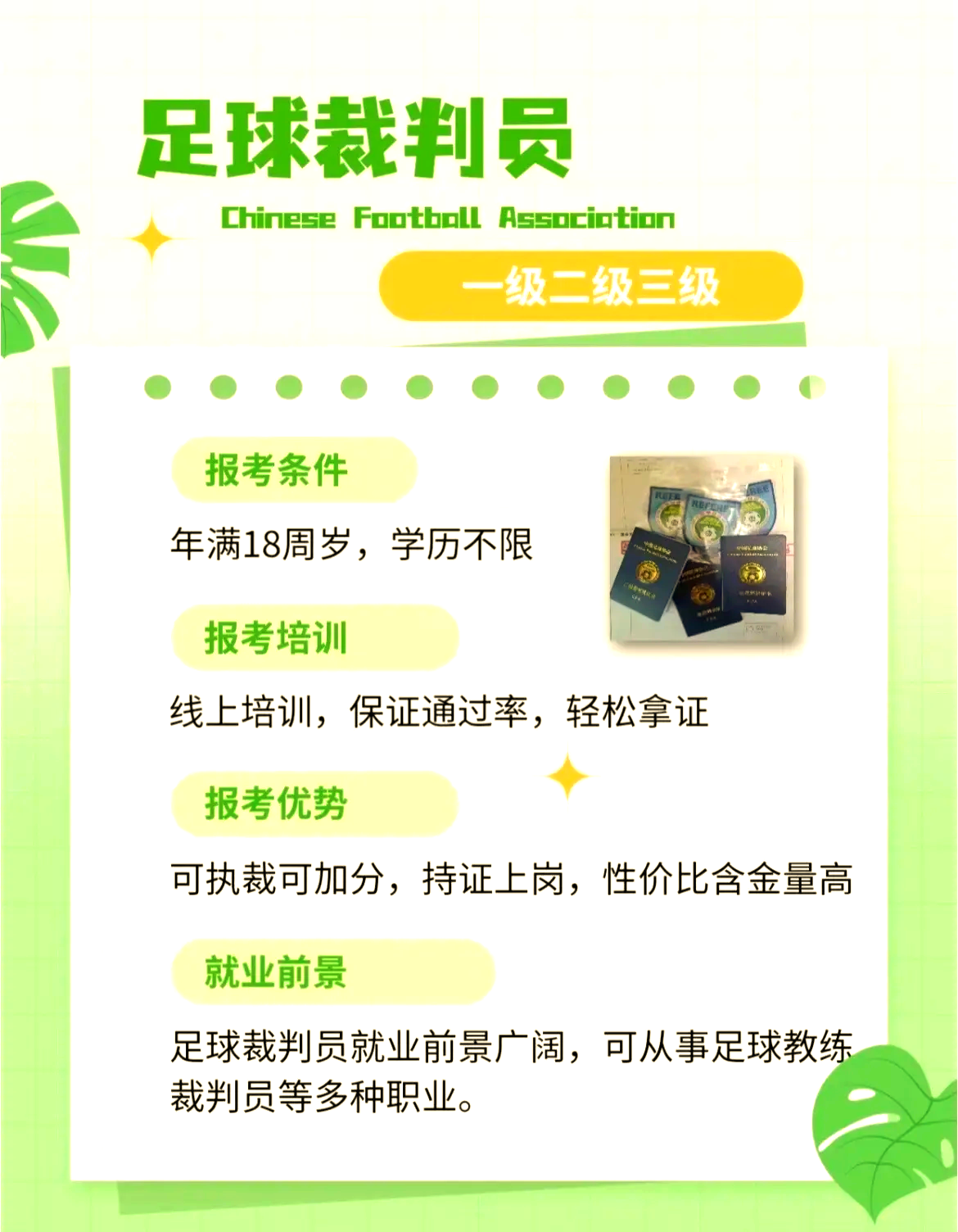 包含全国青少年足球裁判员培训示范体系正式实施的词条