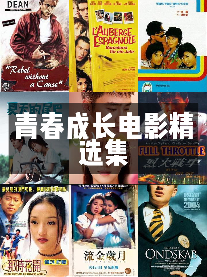 关于点滴回忆：从菜鸟到超级巨星的成长故事的信息